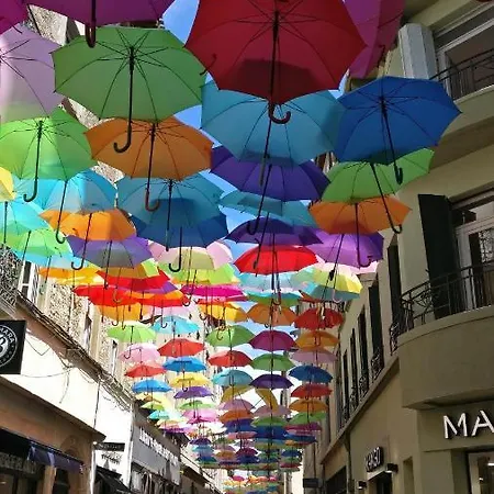 La De L'olivier Piscine Privee Et Parking * Carcassonne