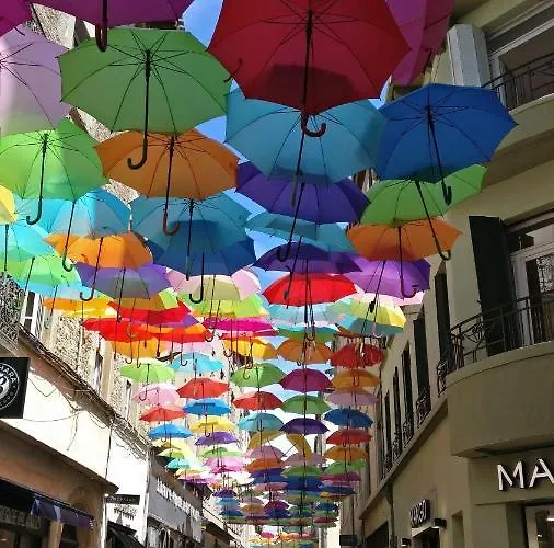 La De L'olivier Piscine Privee Et Parking * Carcassone